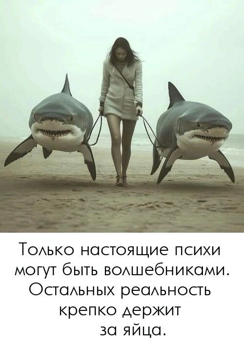 Только настоящие психи могут быть волшебниками. Остальных реальность крепко держит за яйца.