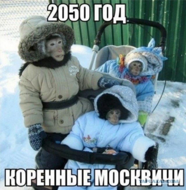 2050 год
КОРЕННЫЕ МОСКВИЧИ