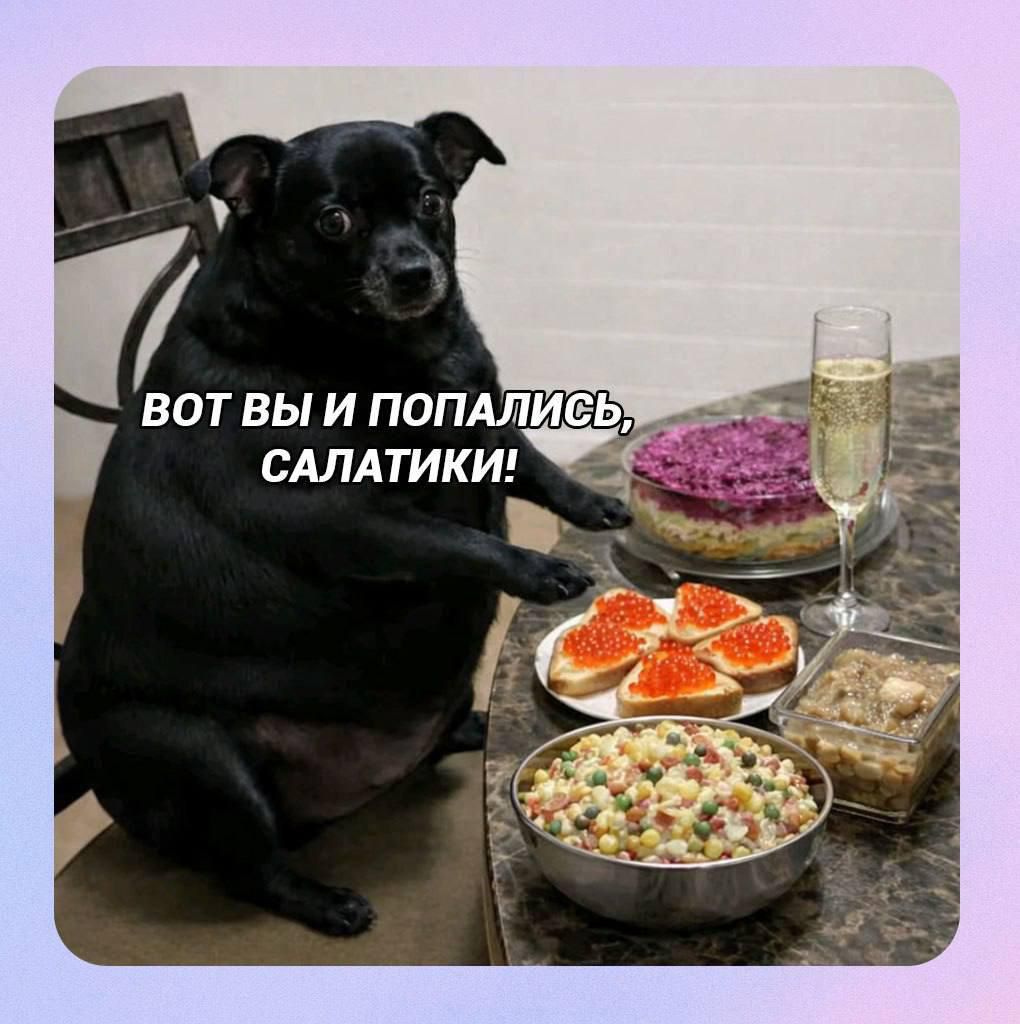 ВОТ ВЫ И ПОПАЛИСЬ, САЛАТИКИ!