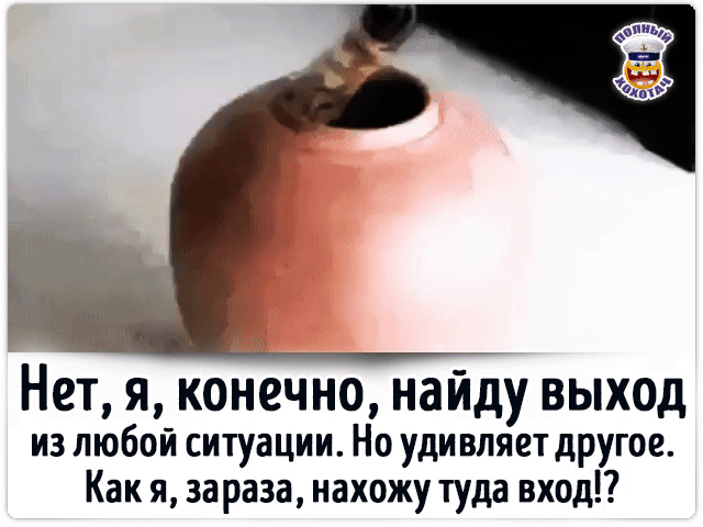 Нет, я, конечно, найду выход из любой ситуации. Но удивляет другое. Как я, зараза, нахожу туда вход!