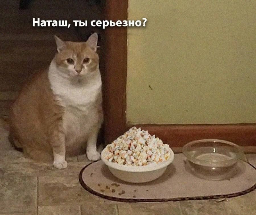 Наташ, ты серьёзно?