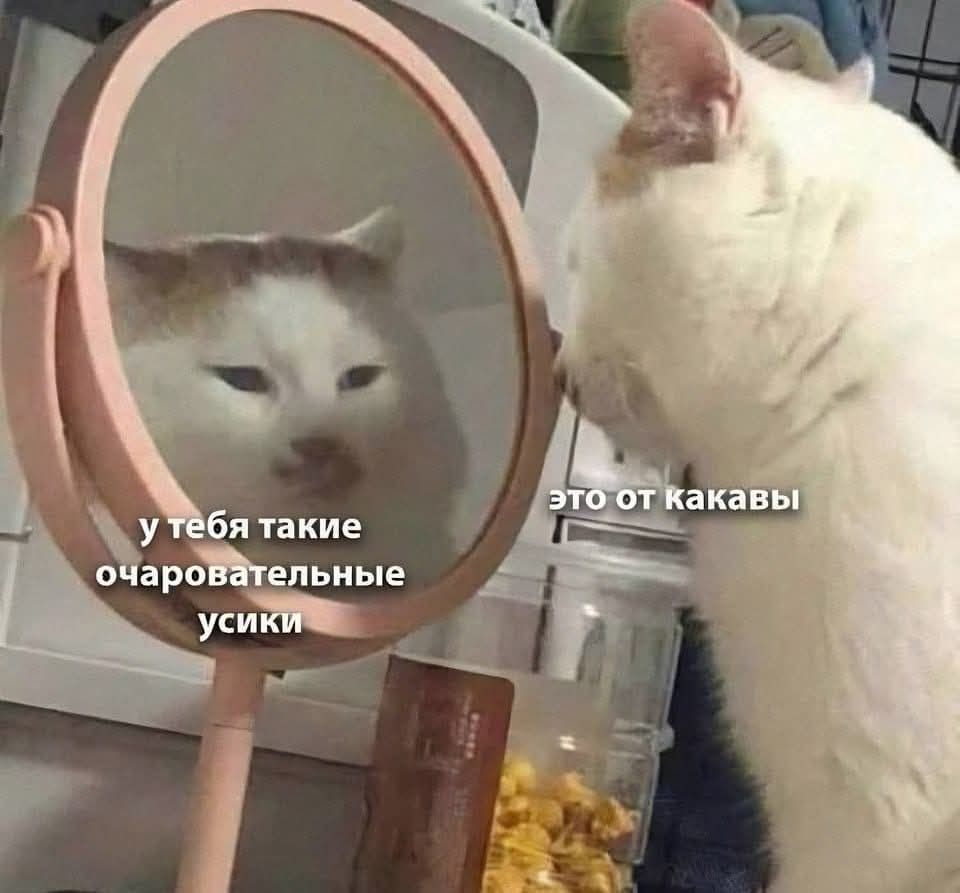 у тебя такие очаровательные ушки
это от какавы