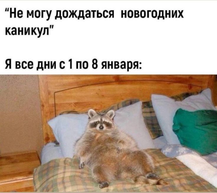 «Не могу дождаться новогодних каникул»
«Я все дни с 1 по 8 января:»
