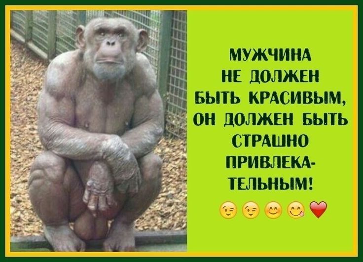 МУЖЧИНА НЕ ДОЛЖЕН БЫТЬ КРАСИВЫМ, ОН ДОЛЖЕН БЫТЬ СТРАШНО ПРИВЛЕКАТЕЛЬНЫМ!