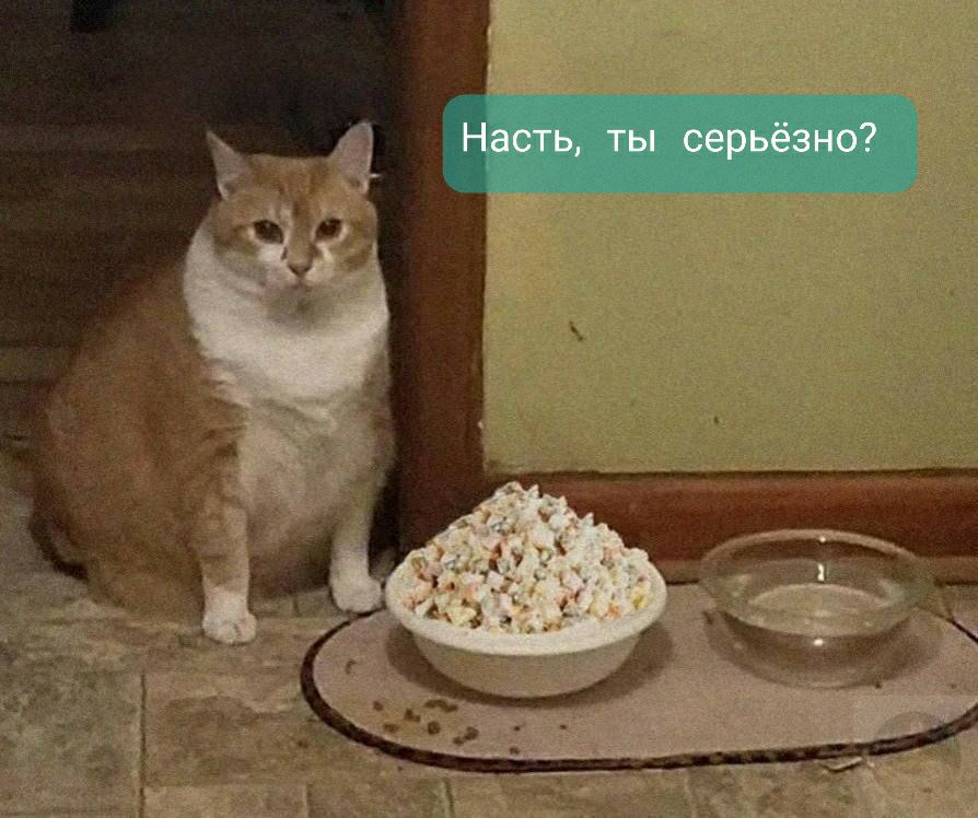 Насть, ты серьёзно?