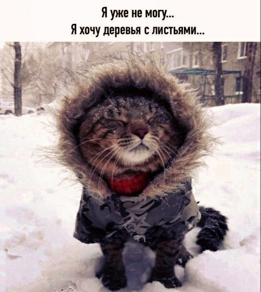 Я уже не могу...\nЯ хочу деревья с листьями...