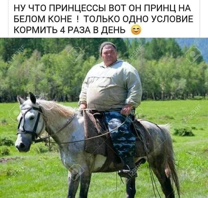 Ну что принцесссы вот он принц на белом коне ! только одно условие кормить 4 раза в день 😊