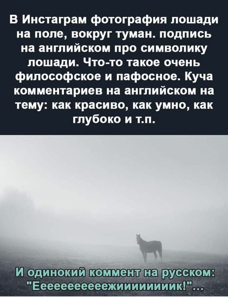 В Инстаграм фотография лошади на поле, вокруг туман. подпись на английском про символику лошади. Что-то такое очень философское и пафосное. Куча комментариев на английском на тему: как красиво, как умно, как глубоко и т.п.
И одинокий комментарий на русском: 