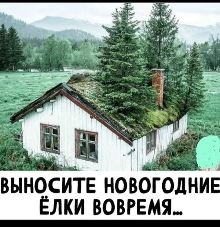 ВЫНОСИТЕ НОВОГОДНИЕ ЁЛКИ ВОВРЕМЯ...