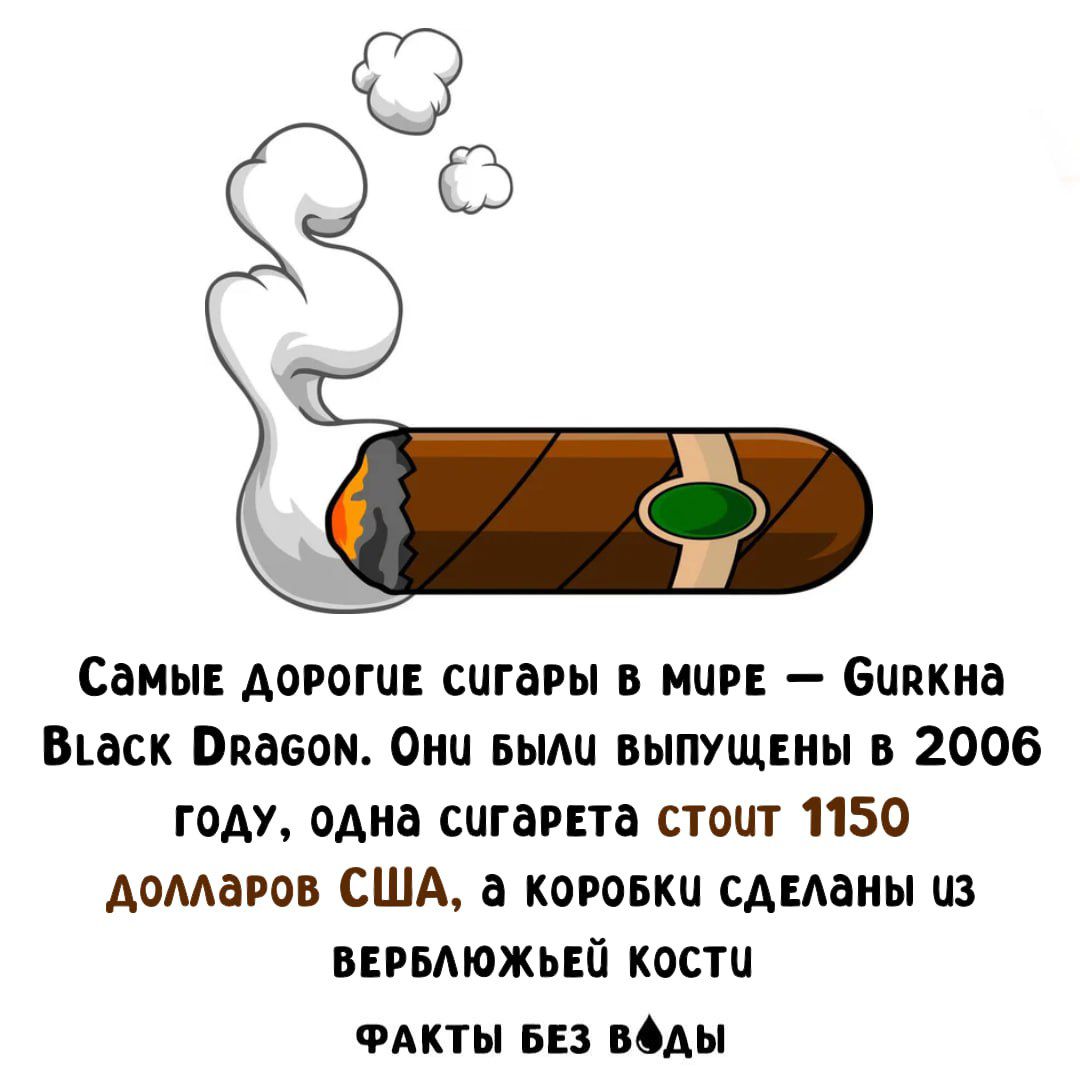Самые дорогие сигары в мире — Gurkha Black Dragon. Они были выпущены в 2006 году, одна сигара стоит 1150 долларов США, а коробки сделаны из верблюжьей кости. Факты без воды