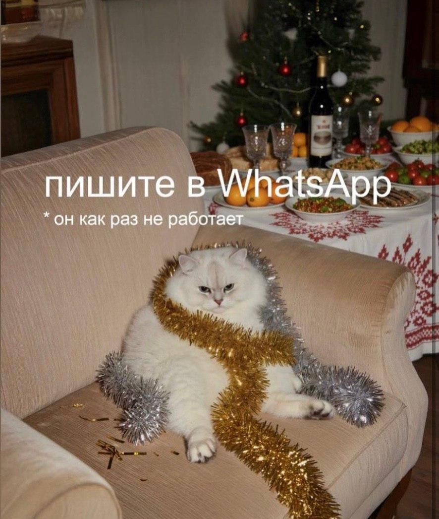 пишите в WhatsApp
*он как раз не работает