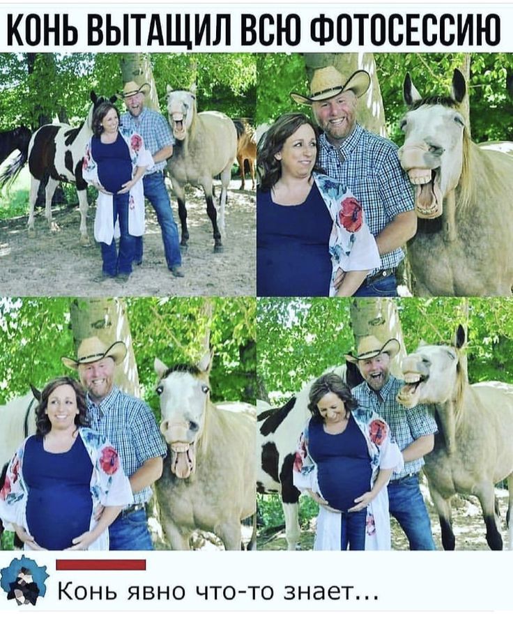 КОНЬ ВЫТАЩИЛ ВСЮ ФОТОСЕССИЮ
Конь явно что-то знает...