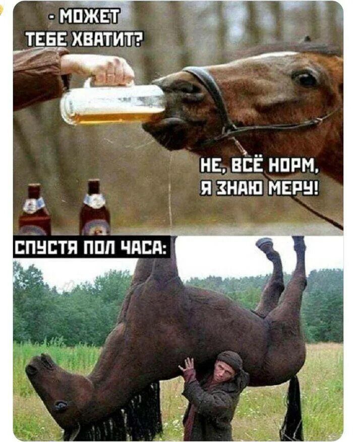 - МОЖЕТ ТЕБЕ ХВАТИТ?
НЕ, ВСЁ НОРМ, Я ЗНАЮ МЕРУ!
СПУСТЯ ПОЛ ЧАСА: