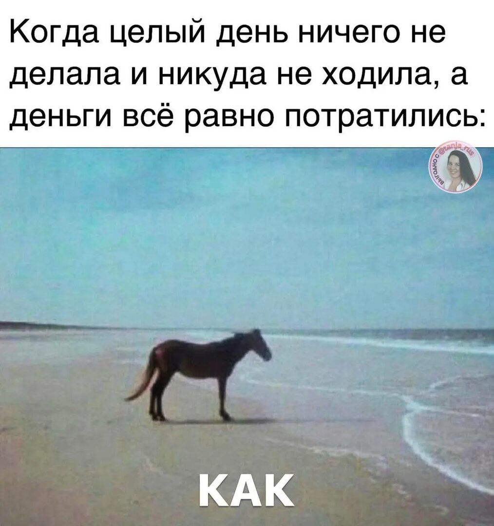 Когда целый день ничегo не делала и никуда не ходила, а деньги всё равно потратились:
КАК