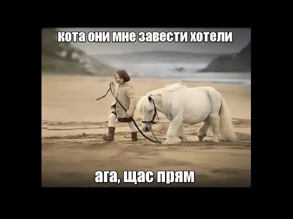 кота они мне завести хотели
ага, щас прям