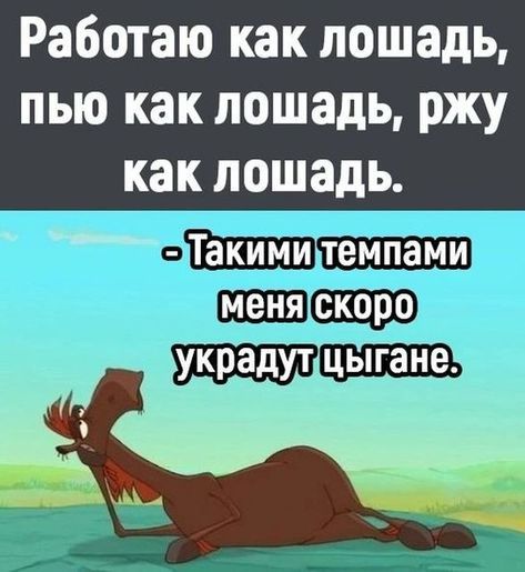 Работаю как лошадь, пью как лошадь, ржу как лошадь.\n- ТакмиTemи темпами меня скоро украдут цыгане.