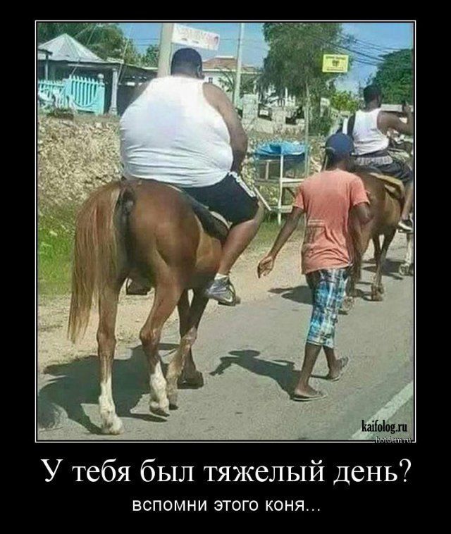 У тебя был тяжелый день?\nВспомни этого коня...