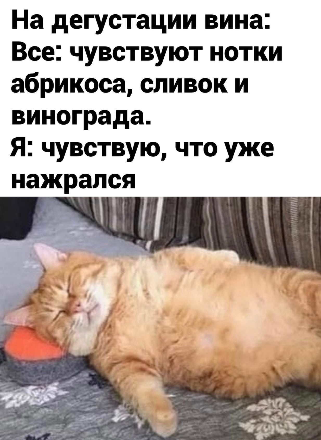 На дегустации вина: Все: чувствуют нотки абрикоса, сливок и винограда. Я: чувствую, что уже нажрался