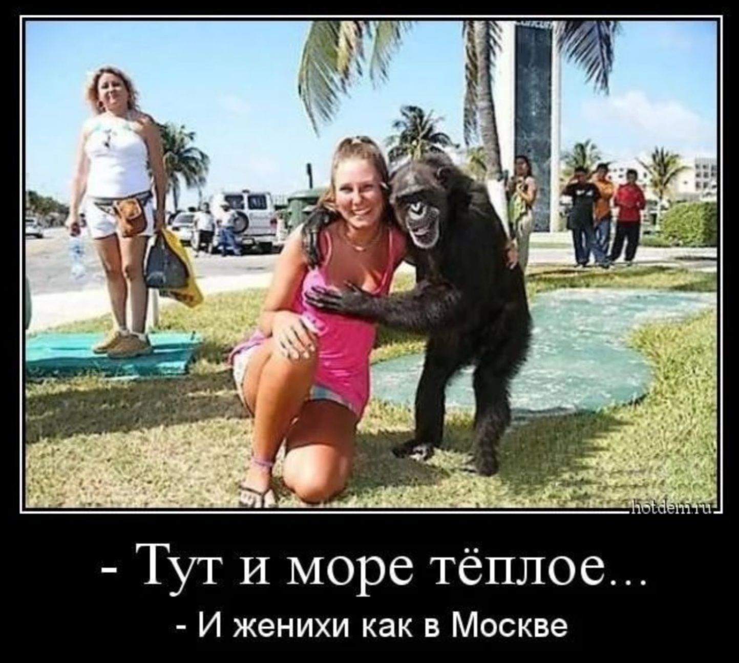- Тут и море тёплое...
- И женихи как в Москве