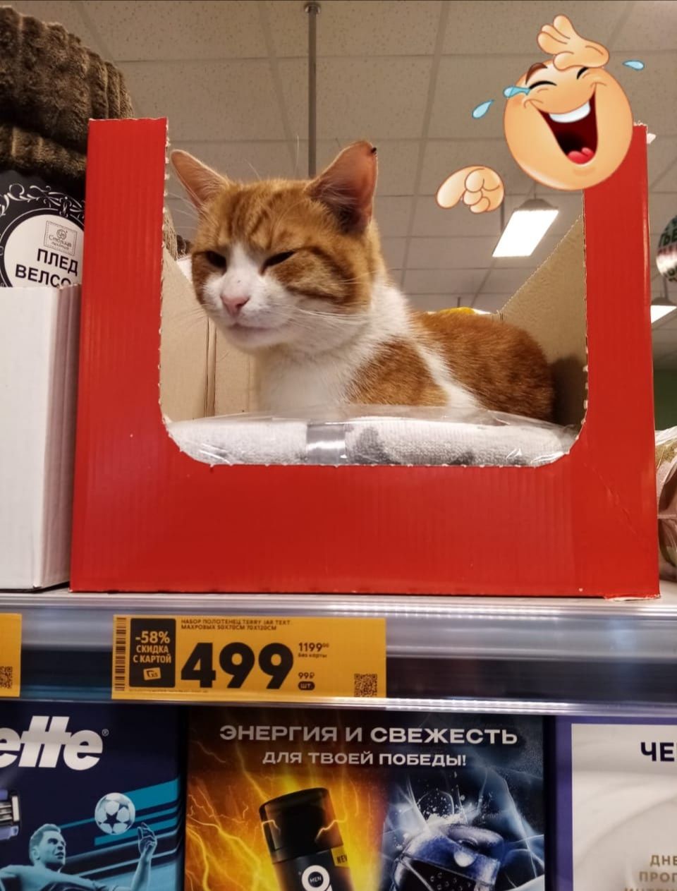 499
1199
58% скидка
Энергия и свежесть для твоей победы!