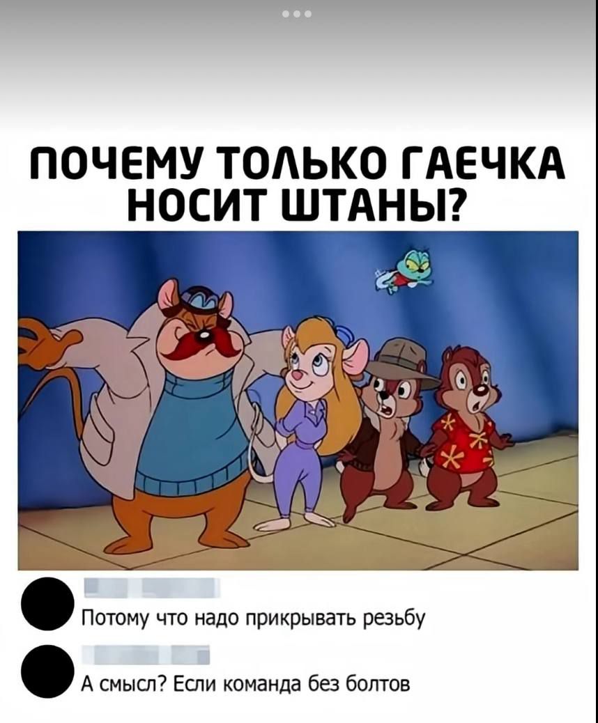 ПОЧЕМУ ТОЛЬКО ГАЕЧКА НОСИТ ШТАНЫ? 

● Потому что надо прикрывать резьбу 
● А смысл? Если команда без болтов