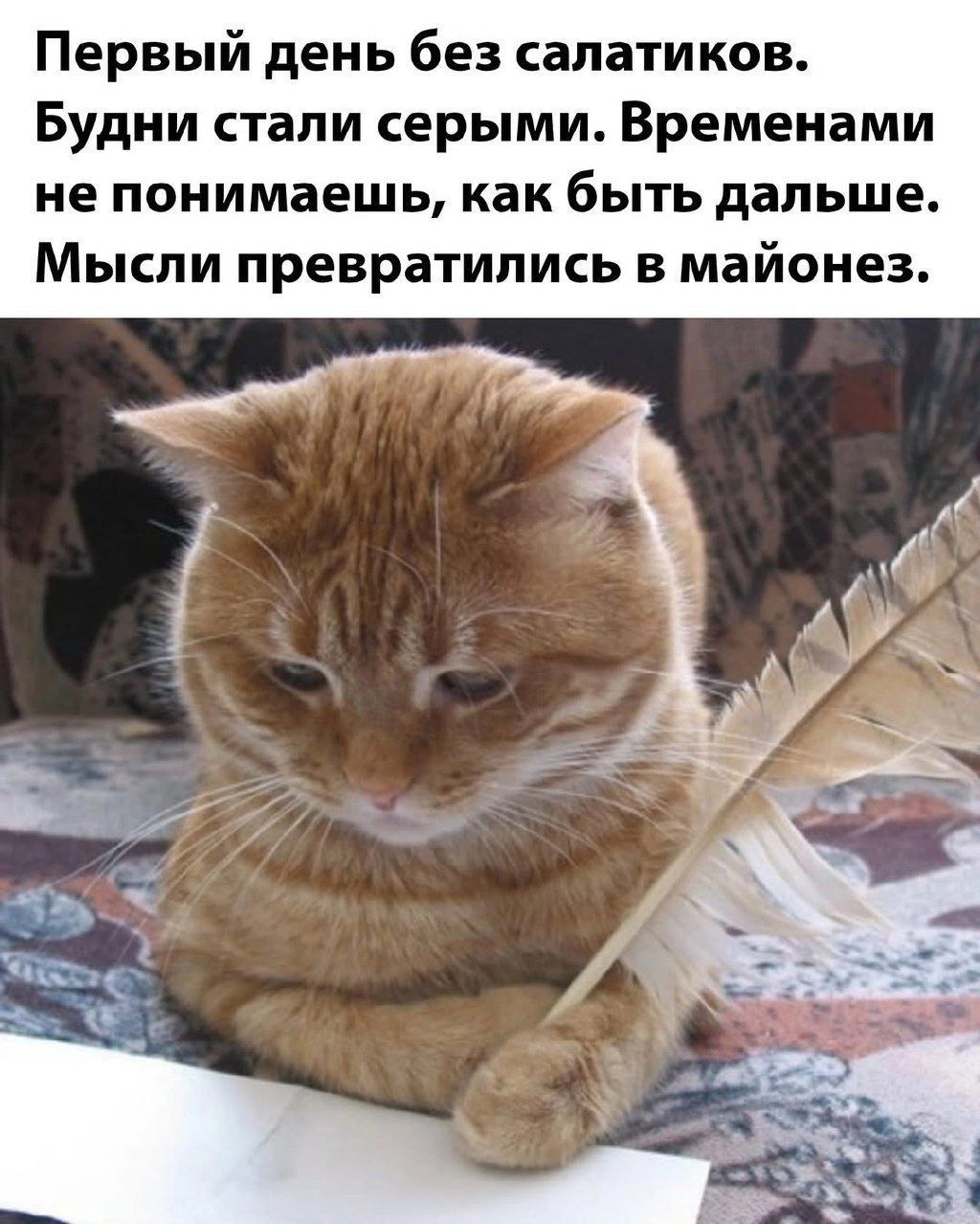 Первый день без салатиков. Будни стали серыми. Временами не понимаешь, как быть дальше. Мысли превратились в майонез.