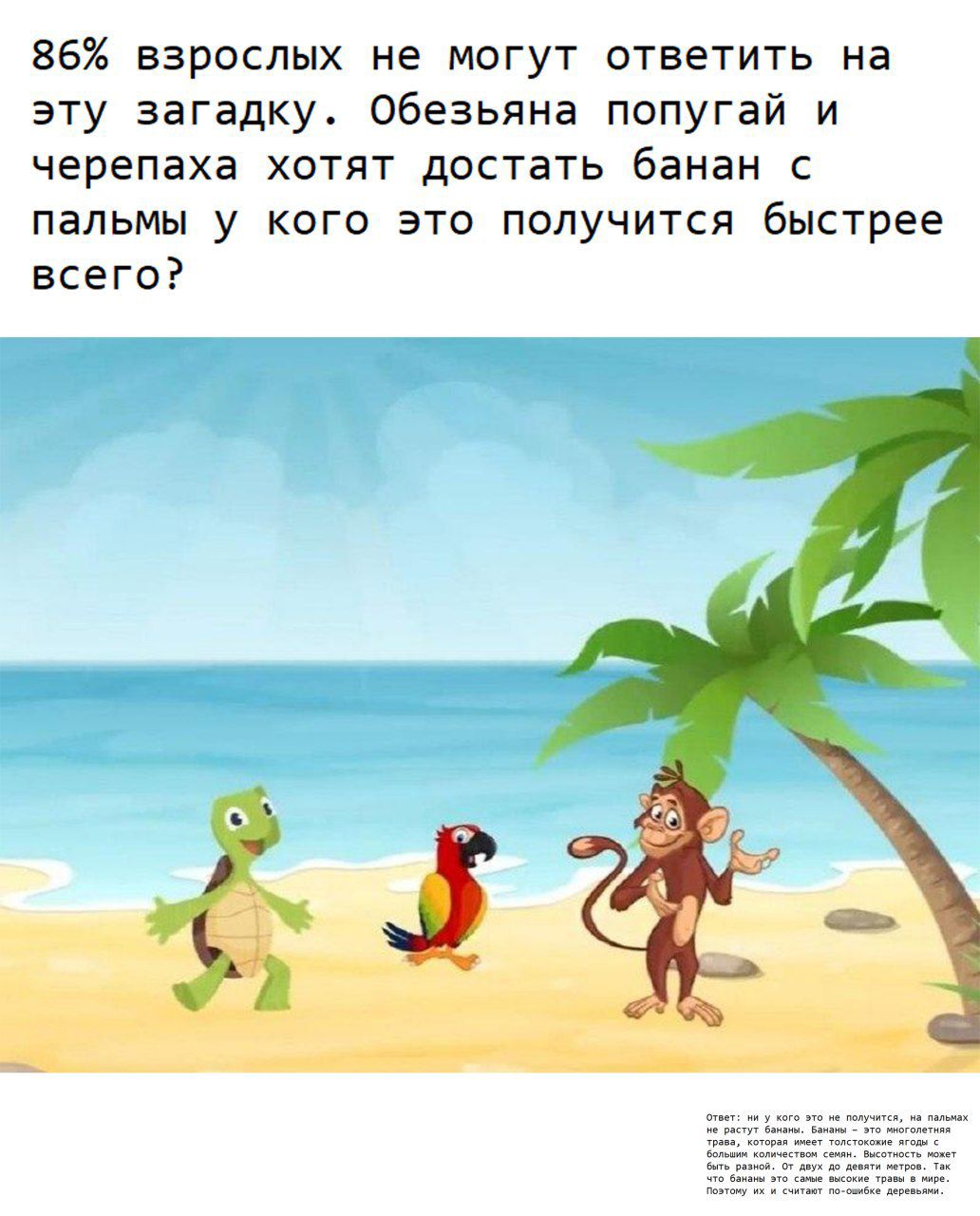86% взрослых не могут ответить на эту загадку. Обезьяна попугай и черепаха хотят достать банан с пальмы у кого это получится быстрее всего?