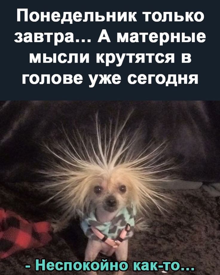 Понедельник только завтра... А матерые мысли крутятся в голове уже сегодня
- Неспокойно как-то...