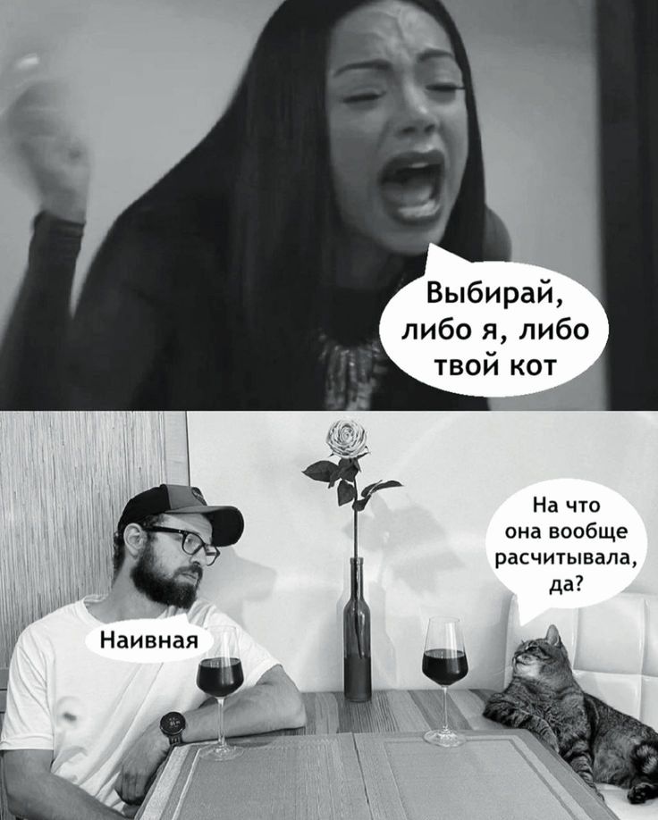Выбирай, либо я, либо твой кот
Наивная
На что она вообще рассчитывала, да?
