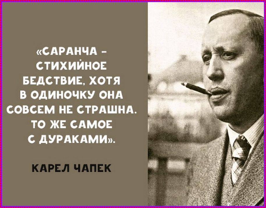 «Саранча – стихийное бедствие, хотя в одиночку она совсем не страшна. То же самое с дураками». Карел Чапек