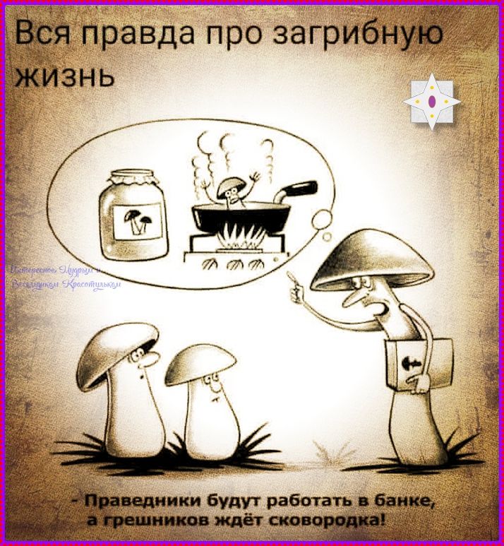 Вся правда про загробную жизнь
Праведники будут работать в банке, а грешников ждёт сковородка!