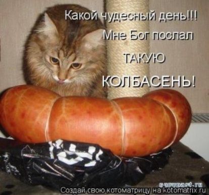 Какой чудесный день!!!
Мне Бог послал
ТАКУЮ
КОЛБАСЕНЬ!
Создай свою котоматрицу на kotomatrix.ru