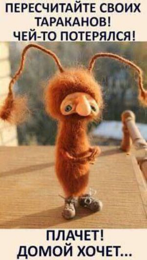 ПЕРЕСЧИТАЙТЕ СВОИХ ТАРАКАНОВ! ЧЕЙ-ТО ПОТЕРЯЛСЯ! 
ПЛАЧЕТ! ДОМОЙ ХОЧЕТ...