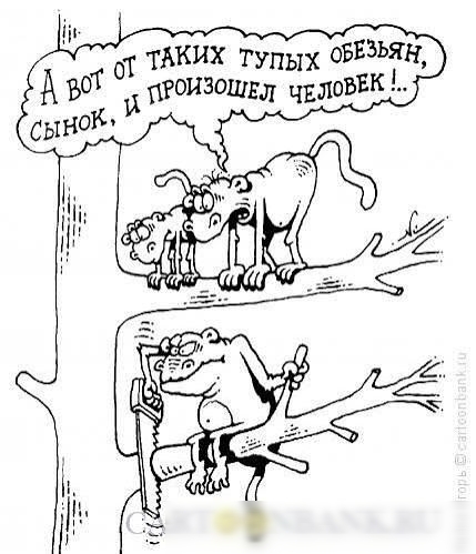 А вот от таких тупых обезьян, сынок, и произошел человек!