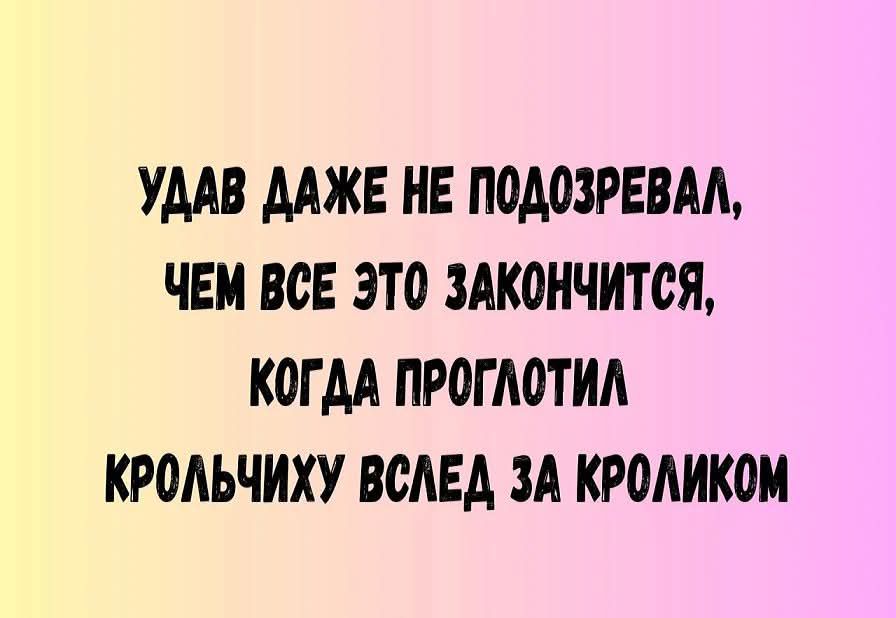Удав даже не подозревал, чем все это закончится, когда проглотил крольчиху вслед за кроликом