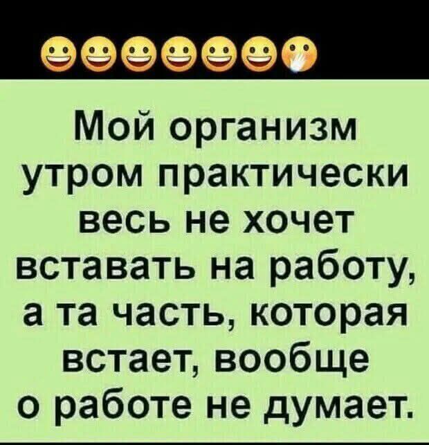 Мой организм утром практически весь не хочет вставать на работу, а та часть, которая встает, вообще о работе не думает.