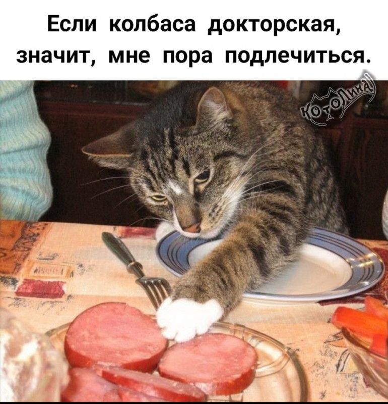 Если колбаса докторская, значит, мне пора подлечиться.