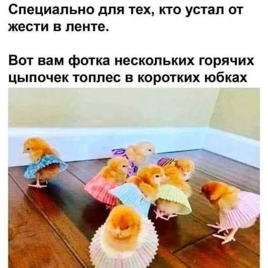 Специально для тех, кто устал от жесты в ленте.
Вот вам фотка нескольких горячих цыпочек топлес в коротких юбках
