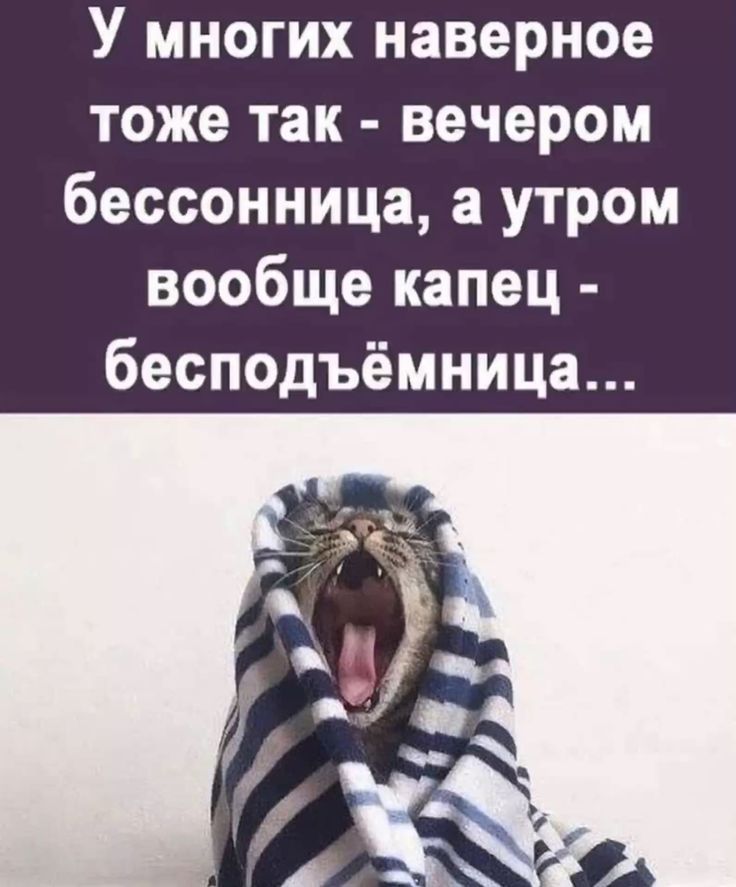 У многих наверно тоже так - вечером бессонница, а утром вообще капец - бесподёмница...
