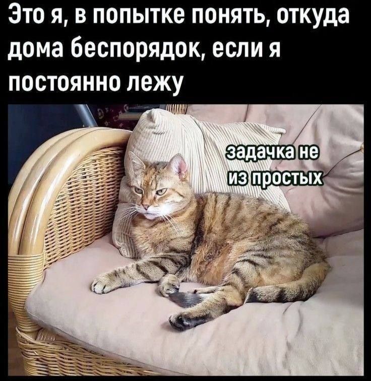 Это я, в попытке понять, откуда дома беспорядок, если я постоянно лежу
задачка не из простых