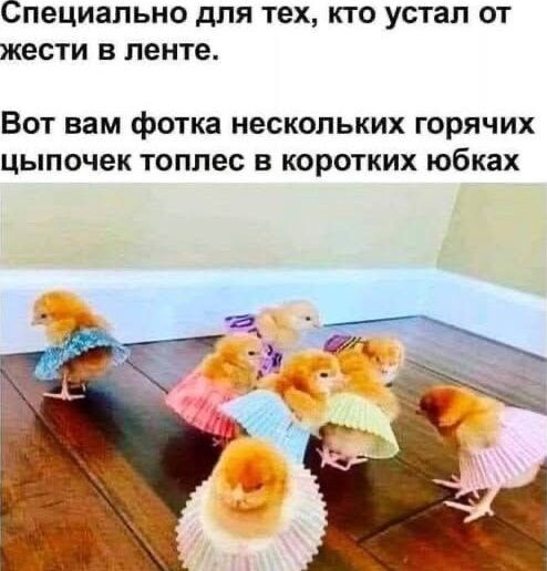 Специально для тех, кто устал от жести в ленте.
Вот вам фотка нескольких горячих цыпочек топлесс в коротких юбках