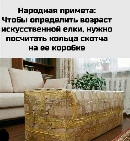 Народная примета: Чтобы определить возраст искусственной елки, нужно посчитать кольца скотча на ее коробке