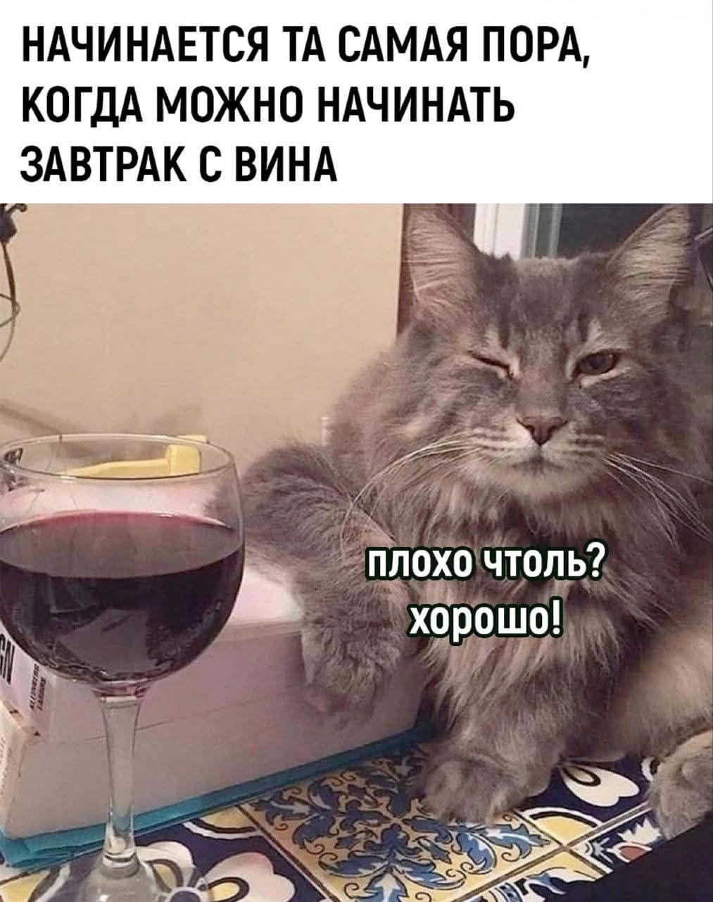 НАЧИНАЕТСЯ ТА САМАЯ ПОРА, КОГДА МОЖНО НАЧИНАТЬ ЗАВТРАК С ВИНА
ПЛОХО ЧТОЛЬ? ХОРОШО!