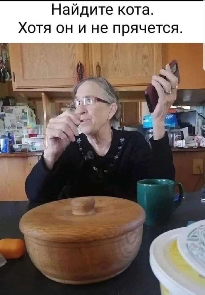Найдите кота. Хотя он и не прячется.