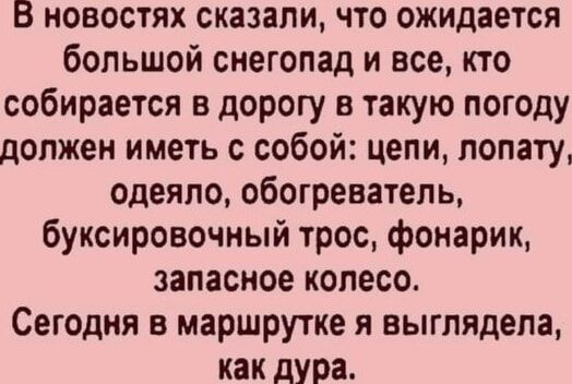 В новостях сказали, что ожидается большой снегопад и все, кто собирается в дорогу в такую погоду должны иметь с собой: цепи, лопату, одеяло, обогреватель, буксировочный трос, фонарик, запасное колесо. Сегодня в маршрутке я выглядела, как дура.