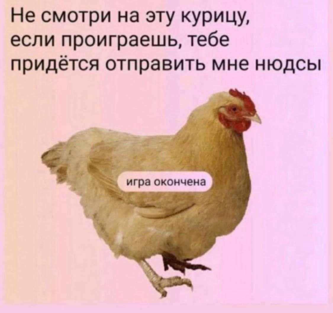 Не смотри на эту курицу, если проиграешь, тебе придётся отправлять мне нюдосы\nигра окончена