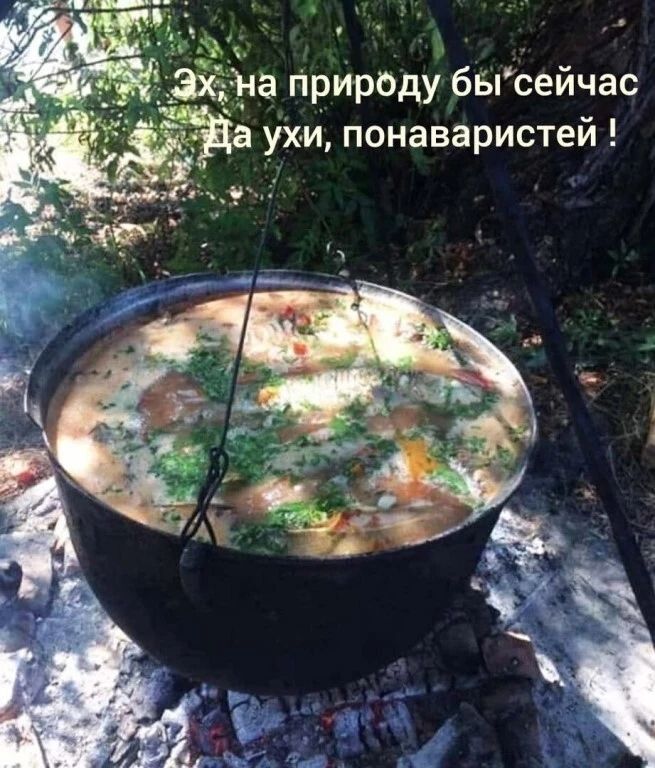 Эх, на природу бы сейчас\nДа уж, поваристей!