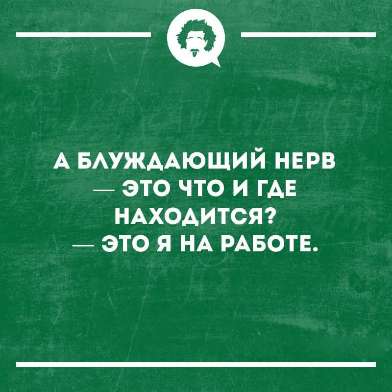 А БЛУЖДАЮЩИЙ НЕРВ ЭТО ЧТО И ГДЕ НАХОДИТСЯ — ЭТО Я НА РАБОТЕ.