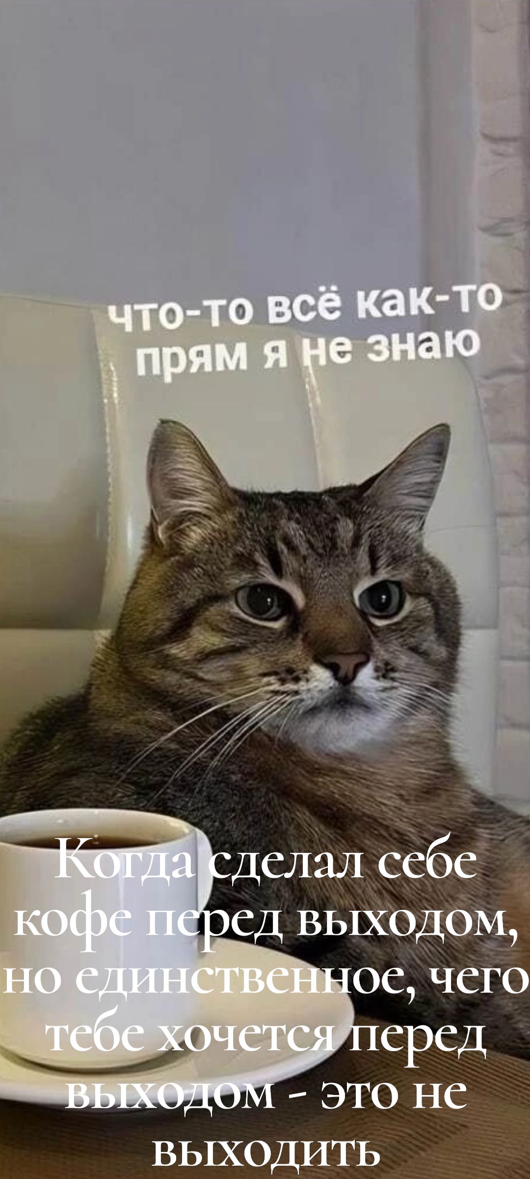 что-то всё как-то прям я не знаю
Когда сделал себе кофе перед выходном, но единственное, чего тебе хочется перед выходном - это не выходить