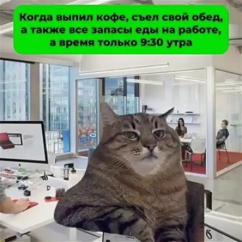 Когда выпил кофе, съел свой обед, а также все запасы еды на работе, а время только 9:30 утра